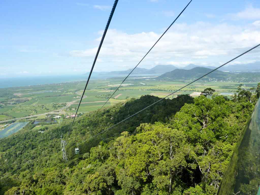 Are you staying in Cairns with kids? Explore Tropical North Queensland by embarking on the most memorable day trip from Cairns. 