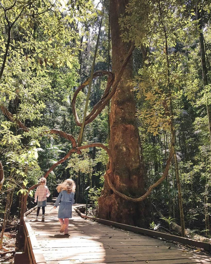 Maleny is located in the Sunshine Coast hinterland and known for its scenic treasures and sensational produce. Find out the best things to do in Maleny here.