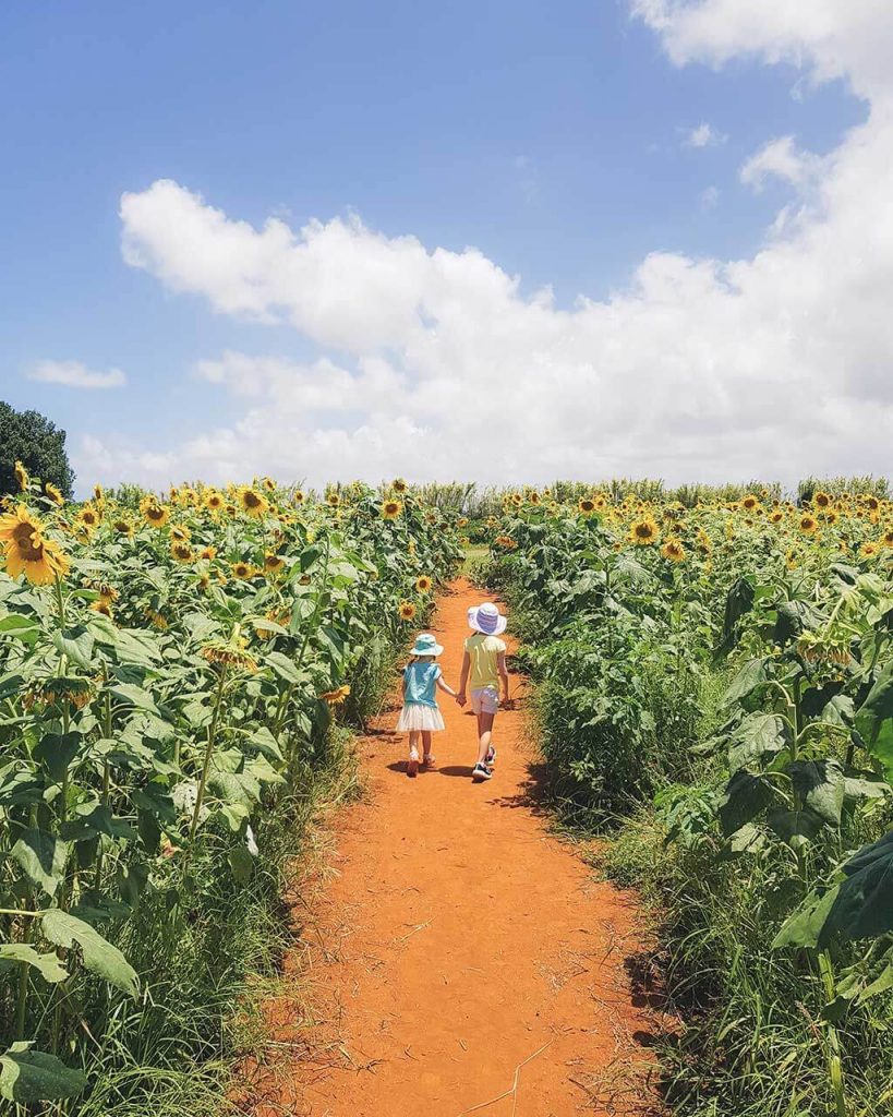Searching for a place to enjoy the outdoors? We list 7 farms on and around the Gold Coast that you can visit with the kids.