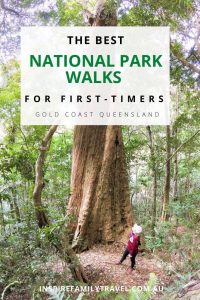 If you are new to bushwalking or want to enjoy a day out in nature here is a list of the best Springbrook National Park Walks on the Gold Coast, Queensland.