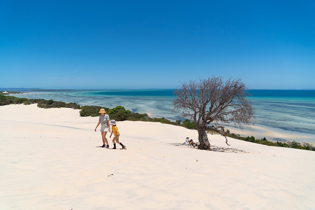 Whether visiting for a day trip or extended stay, this guide shares the top things to do on Moreton Island.
