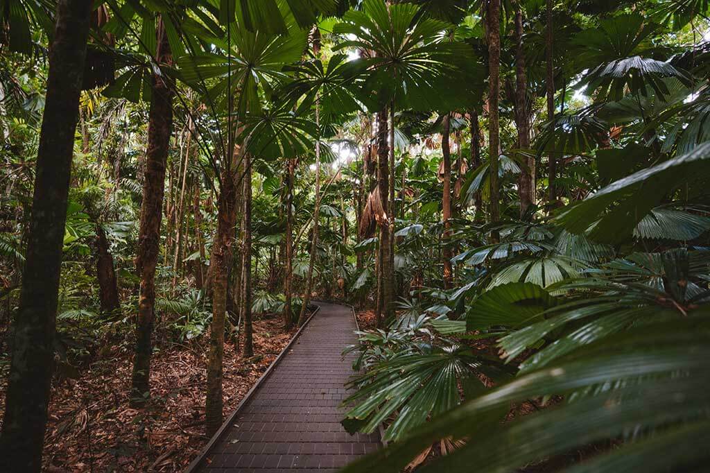 In this guide, you'll find an ultimate list of things to do in Port Douglas plus some incredible day trips that are worth exploring.
